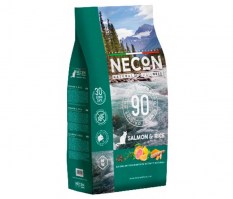 Necon (Италия)