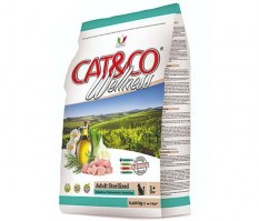 Cat&Co (Италия)