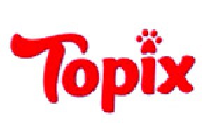 Topix