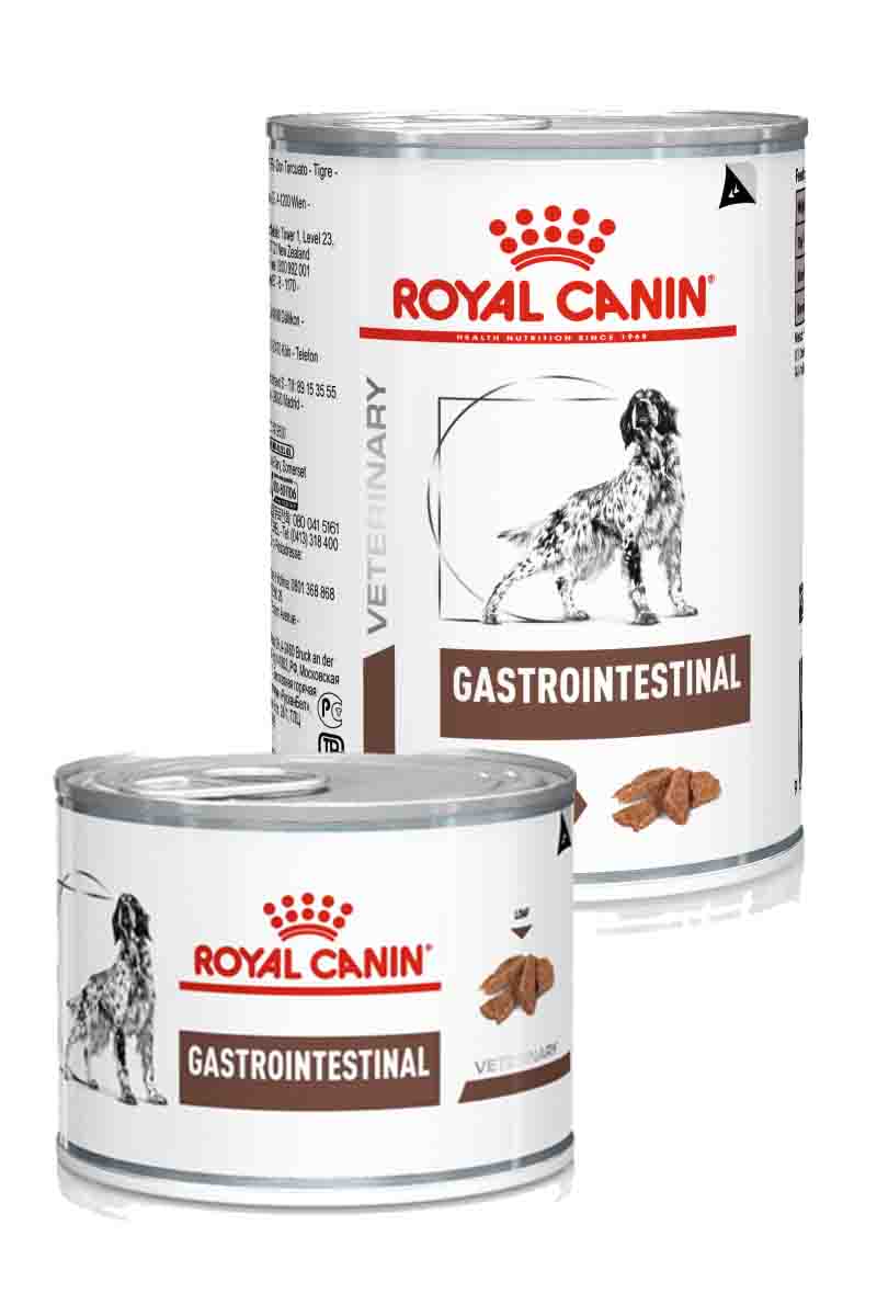 Gastrointestinal корм для собак купить. Роял Канин гастро Интестинал для собак паштет. Royal Canin Gastrointestinal для собак валберис. Консервы гипоаллергенные для собак Роял Канин. Роял Канин консервы д/щенков гастро-Интестинал 195 гр.