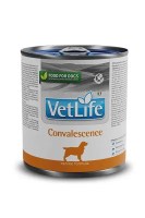 Паштет Farmina Vet Life Dog Convalescence, 300 г.