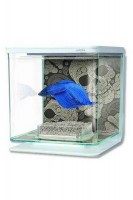 Аквариум Marina Betta Kit SKULL 2 л