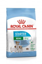 Royal Canin Mini Starter