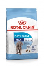 Royal Canin Maxi Puppy Active
