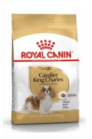 Royal Canin Cavalier King Charles Adult