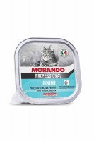 Консервы Morando Gatto Junior Veal & Liver (с телятиной и печенью), 100 г.