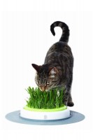 Сад с травой для кошек Catit