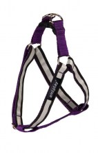 Шлейки Amiplay регулируемые Light Shine XL (N6)  40-75 [c , d] x 2,5cm