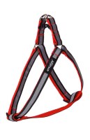 Шлейки Amiplay Shine M 30-55 [c, d] x 1,5cm