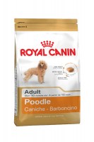 Royal Canin Poodle Adult