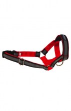 Недоуздок Amiplay Shine L (N4) Labrador 20-37 [a] x 45-60 [b] x 2 cm