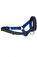 Недоуздок Amiplay Shine M (N3) Cocker Spaniel 17-32 [a] x 39-50 [b] x 2 cm