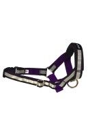 Недоуздок Amiplay Shine XL (N5) Rotweiller 24-45 [a] x 50-65 [b] x 2 cm