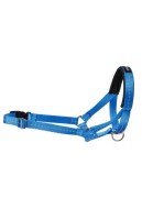 Недоуздок Amiplay Reflective S Foxterrier 13-26 [a] x 25-41 [b] x 1,5 cm