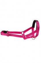 Недоуздок Amiplay Reflective XS Yorkshire Terrier 10-18 [a] x 19-25 [b] x 1,5 cm