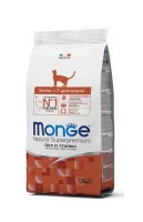 Monge Senior Cat