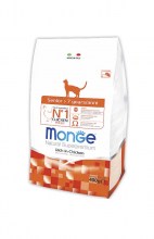 Monge Senior Cat