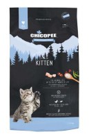 Chicopee HNL Kitten