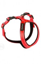 Шлейки Amiplay регулируемые Grand S max 26 [c] x 34-43 [d] cm