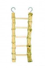 Panama Pet, Лестница из бамбука