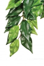 Фикус искусственный