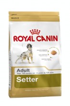 Корм Royal Canin Breed Health Nutrition Setter Adult для собак породы Сеттер.  Для собак определенных пород.