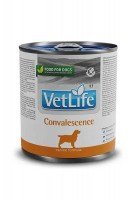 Паштет Farmina Vet Life Dog Convalescence, 300 г.