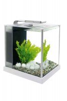 Аквариум Fluval SPEC III белый, 10 л,
