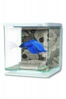Аквариум Marina Betta Kit SKULL 2 л