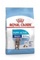 Royal Canin Maxi Puppy Active