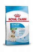 Royal Canin Mini Starter
