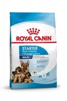 Royal Canin Maxi Starter