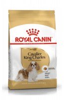 Royal Canin Cavalier King Charles Adult