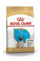 Royal Canin Pug Puppy