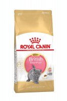 Royal Canin Kitten British Shorthair