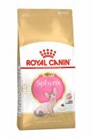 Royal Canin Sphynx kitten