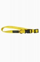 Ошейник Amiplay регулируемый  Basic XL 45-70 [b] x 2,5cm