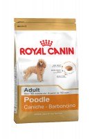 Royal Canin Poodle Adult