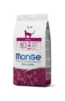 Monge Indoor Cat