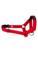 Недоуздок Amiplay N3 2 cm Cocker Spaniel