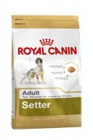 Royal Canin Setter Adult
