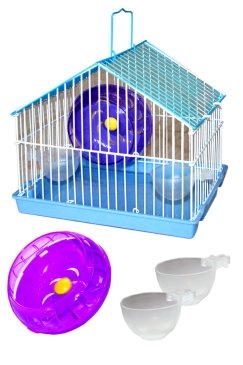 r0007.jpg