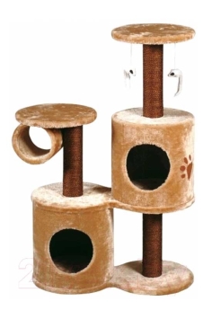 20-8181.jpg