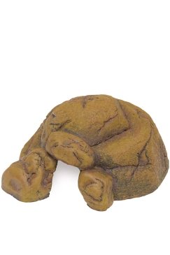 H229333.jpg
