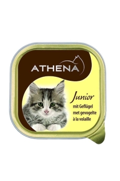 Athena_01.jpg