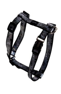 RSJ523A.jpg