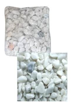 v0170.jpg