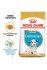 Royal Canin Dalmatian Puppy