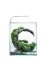 Аквариум Aquael Shrimp Set Smart Day&Night белый, 30 л