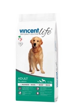 vincent_007.jpg